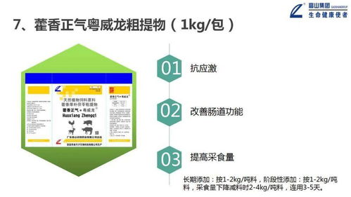 大力推进一体化形象服务体系建设，推动高山中兽药向更高水平发展——信息系统运行维护服务篇